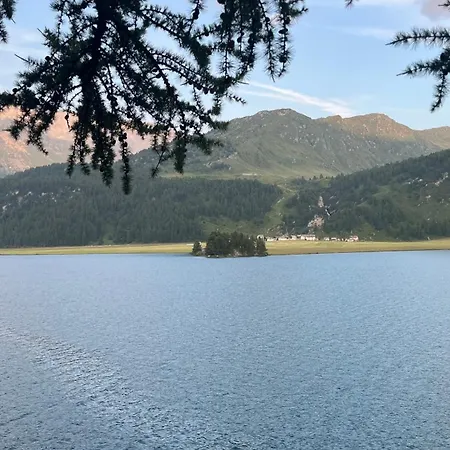 Apartment Chesa Munteratsch 1 1 2-zimmerwohnung 509 Typ D Silvaplana