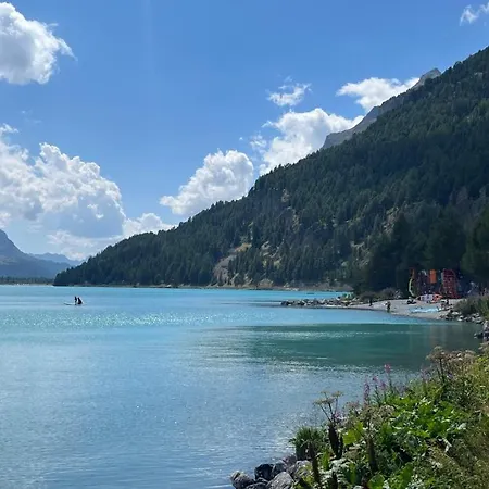 Daire Chesa Munteratsch 1 1 2-zimmerwohnung 509 Typ D Silvaplana