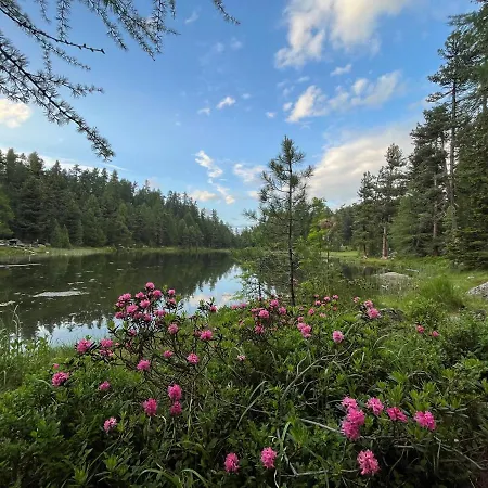 Chesa Munteratsch 1 1 2-zimmerwohnung 509 Typ D Daire