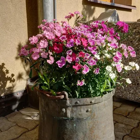 Chesa Munteratsch 1 1 2-zimmerwohnung 509 Typ D Daire *