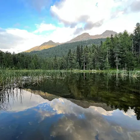 Chesa Munteratsch 1 1 2-zimmerwohnung 509 Typ D Daire