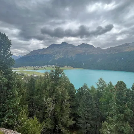 Chesa Munteratsch 1 1 2-zimmerwohnung 509 Typ D Silvaplana