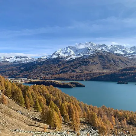 Chesa Munteratsch 1 1 2-zimmerwohnung 509 Typ D Daire *