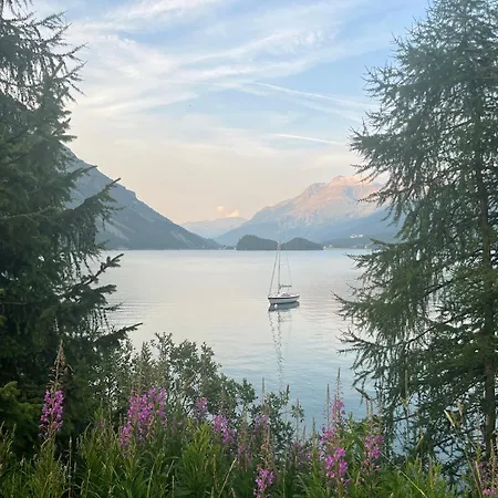 Daire Chesa Munteratsch 1 1 2-zimmerwohnung 509 Typ D